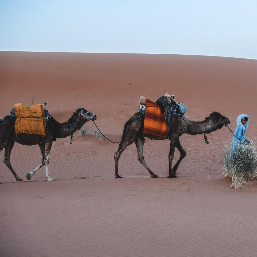 Camel Luxury Camp Bed & Breakfast Merzouga Dış mekan fotoğraf