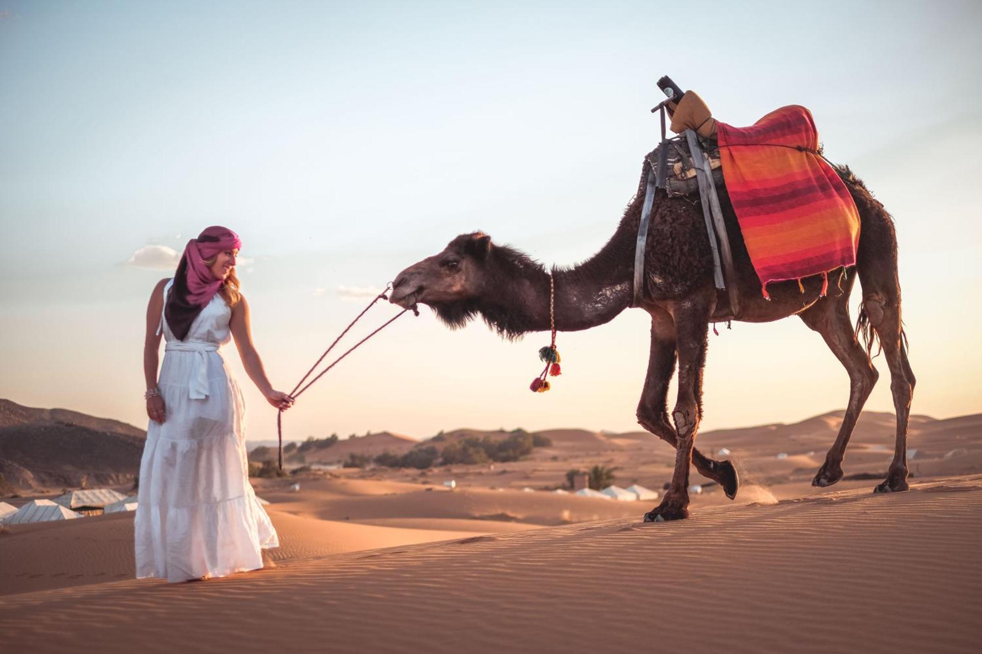 Camel Luxury Camp Bed & Breakfast Merzouga Dış mekan fotoğraf