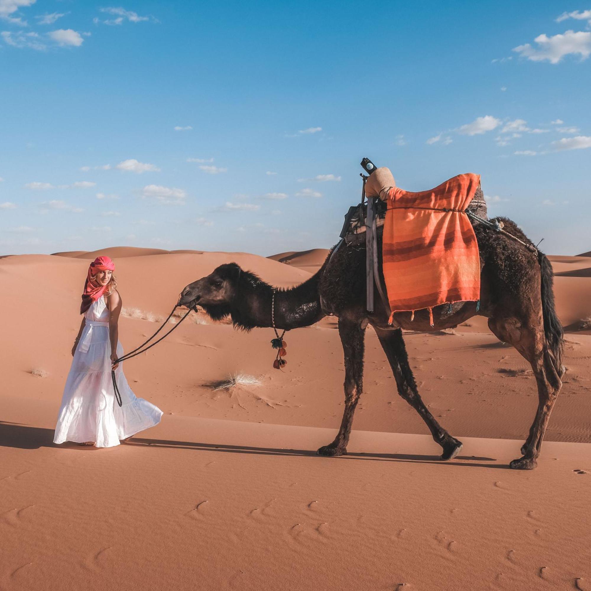 Camel Luxury Camp Bed & Breakfast Merzouga Dış mekan fotoğraf